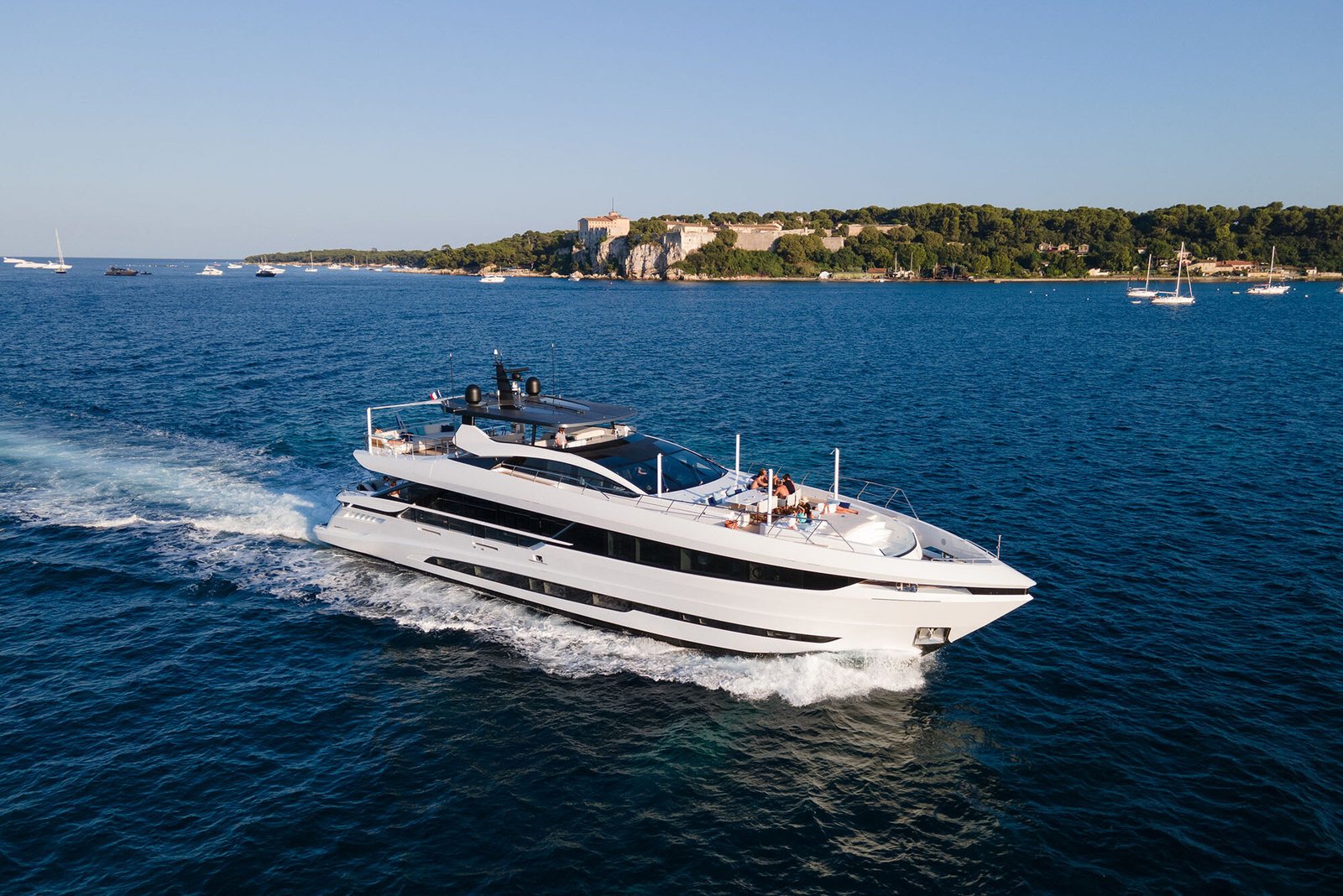 Mangusta 33